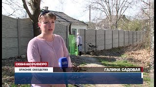В Орлином держат бездомных больных собак прямо за забором детского сада В Орлином держат бездомных больных собак прямо за забором детского сада
