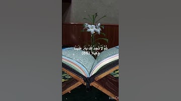 (وَيَسۡـَٔلُونَكَ عَنِ ٱلرُّوحِۖ) سورة الاسراء للشيخ فارس عباد حفظه الله ورعاه