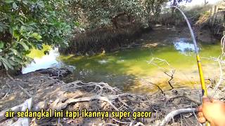 Fishing rod goes flying ‼️ this is what happens when the fish are biting like crazy and you force...