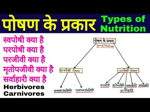 पोषण के प्रकार | poshan ke prakar | swaposhi poshan & parposhi poshan kya hai | types of nutrition