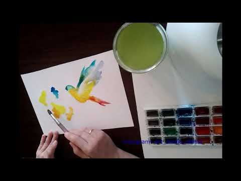Мастер-класс "Рисуем колибри" часть 1.