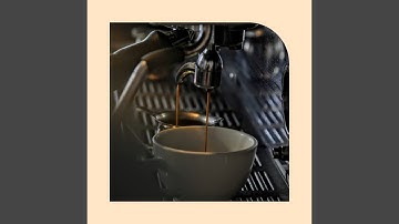 Sultry Music for Versatile Cafes