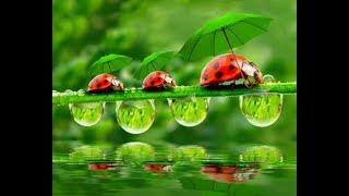 Celebrity SystemVerilog Assertions :: BINDing Design module (Verilog or VHDL) to Assertions Module Net Worth