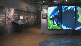 Exploring the new exhibit at the Smithsonian Natural History museum