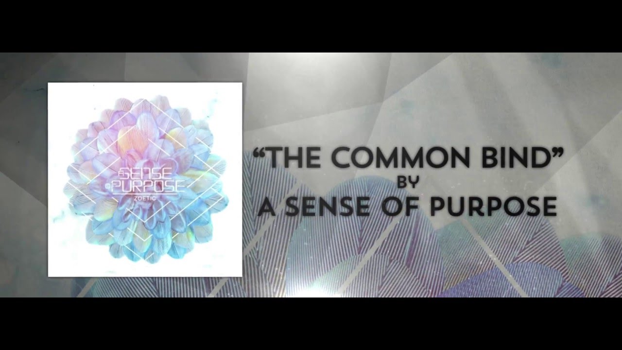 Watch A Sense of Purpose - The Common Bind (feat. TYLER VALENDZA) (Official Stream Video) on YouTube Watch A Sense of Purpose - The Common Bind (feat. TYLER VALENDZA) (Official Stream Video) on YouTube