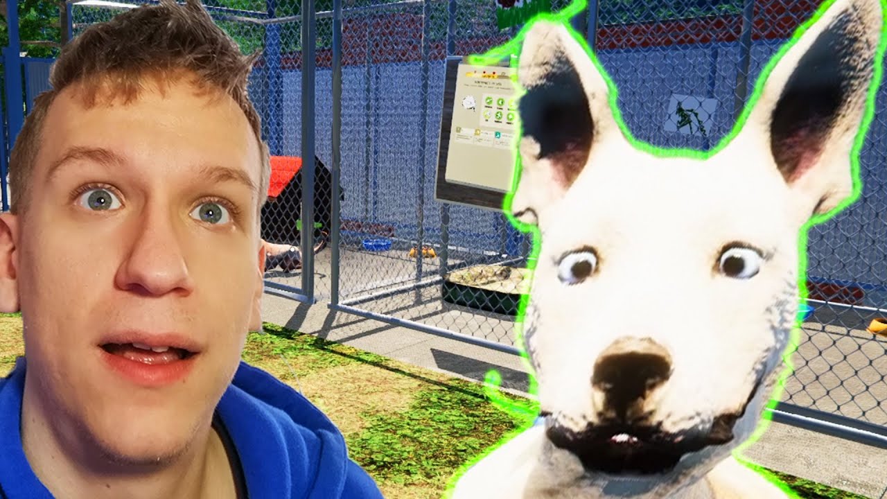 Odpru Preprodajo Za Živali | Animal Shelter Simulator #1