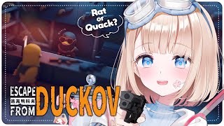 Peo Ch. 雪乃下ぴおの配信のサムネイル画像