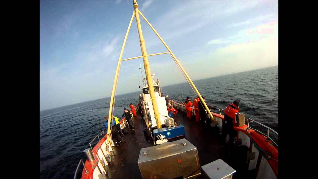2012-03-16 Öresund fiske