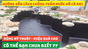 Hướng Dẫn Cách Chống Thấm Nước Hồ Cá Koi | Đúng Kỹ Thuật - Hiệu Quả Cao #chongthamhokoi #hocakoi