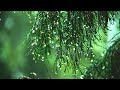 Relaxing Music   Soft Rain Sounds. Soothing Music for Sleeping, Stress Relief, Relaxation