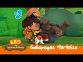 Galapagos Tortoise | Help an Upside Down GIANT Tortoise! | Leo the Wildlife Ranger | Kids