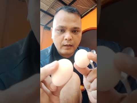 Telur ayam di campur madu asli sumatera barat - YouTube