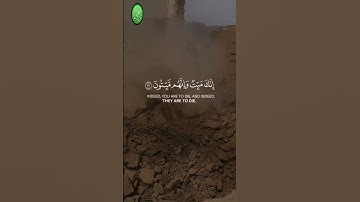 [سورة الزُّمَرِ: ٣٠-٣١] (القارئ الشيخ ماهر المعيقلي) { إِنَّكَ مَیِّتࣱ وَإِنَّهُم مَّیِّتُونَ }