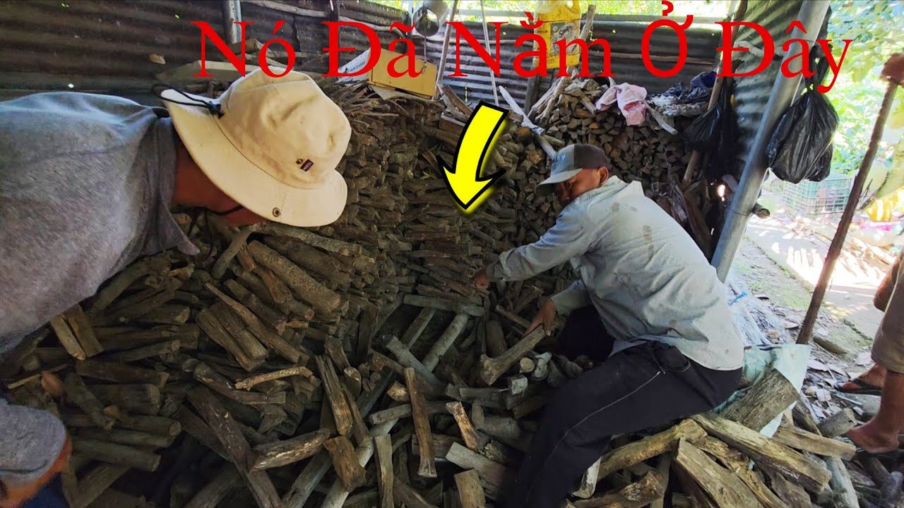 Giúp Chủ Nhà Tìm Con Rắn Trong Nhà Để Củi || Giang Ca SB # 32 