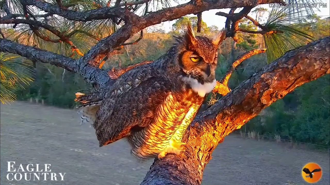 ❣️ MIŁOŚĆ ❣️