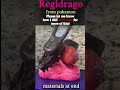 I Made Regidrago With Clay!