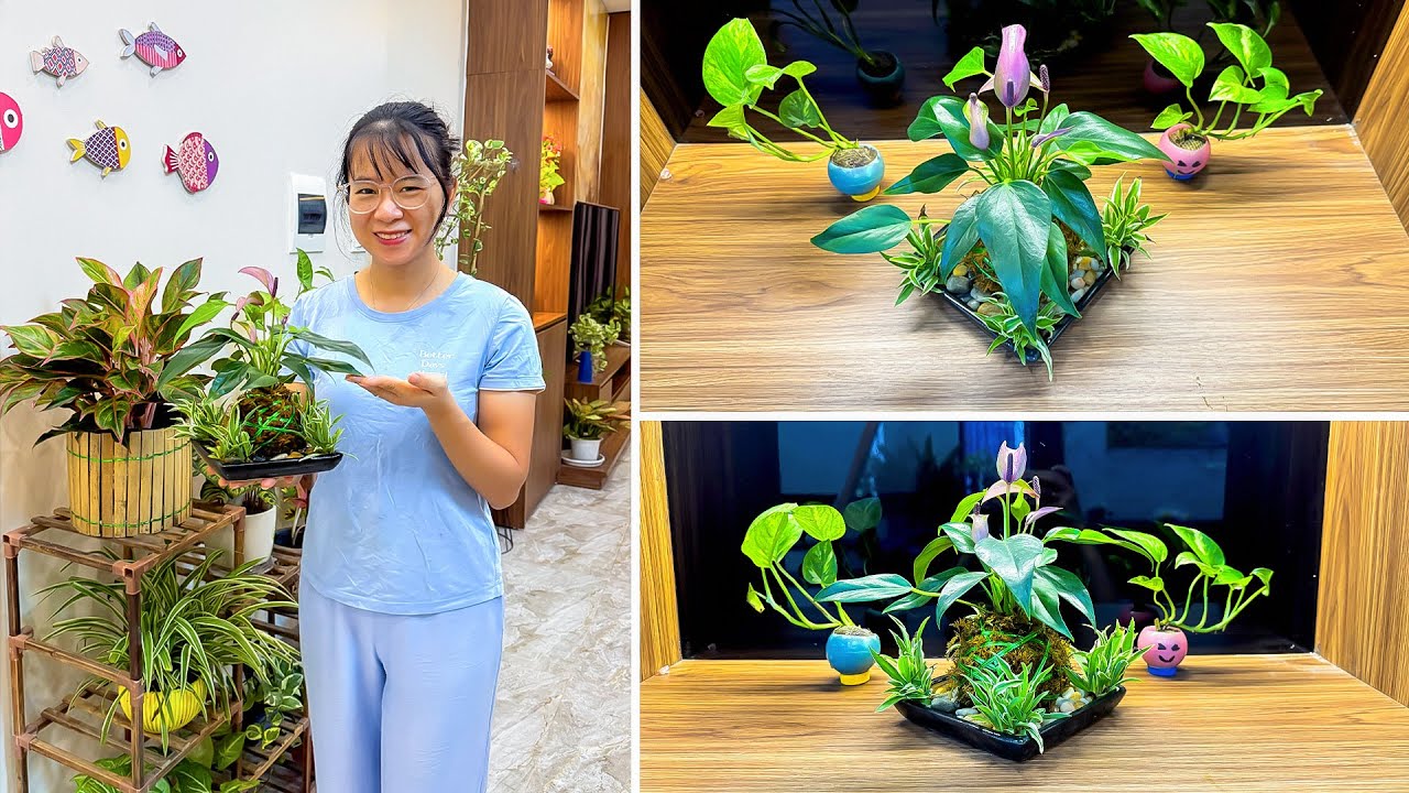 Лайфхаки по выращиванию растений в мхе, чтобы сделать ваш дом УНИКАЛЬНЫМ и ПЫШНЫМ