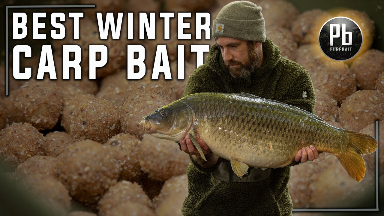Carp Fishing TV - The Best Winter Carp Bait (Pure Bait Concepts