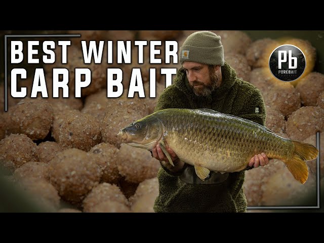 Carp Fishing TV - The Best Winter Carp Bait (Pure Bait Concepts Amino  Ester) 