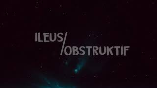 Sitty Rahmatia A Rauf 21506030 patofisiologi Ileus Obstruktif stikmks