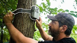 Famous Dan Infalt's Trail Camera Strategy For Hunting Mature Whitetails Profile