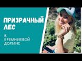 КАКИЕ ОПАСНОСТИ НАС ПОДСТЕРЕГАЛИ В ЛЕСУ ⭕️ КРЕМНИЕВАЯ ДОЛИНА