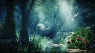Magic forest fantasy wonderland video background for video Maker