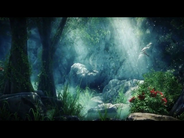 Magic forest fantasy wonderland video background for video Maker class=
