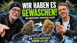 Hash brothers spill the beans! This is how real Ice Water Hash is made from Living Soil 🌱🧊
