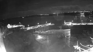 Newquay Cornwall Harbour Paddlefish Adventure Live Stream