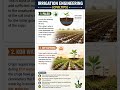 Paleo  Kor Watering | Irrigation | #JE #AE #civilengineering #civiltips #irrigation #BTSC