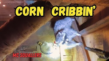 We Went Corn Cribbin’… And It Got WILD