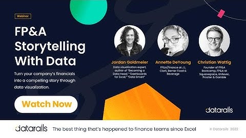 FP&A Storytelling With Data (Datarails Webinar)