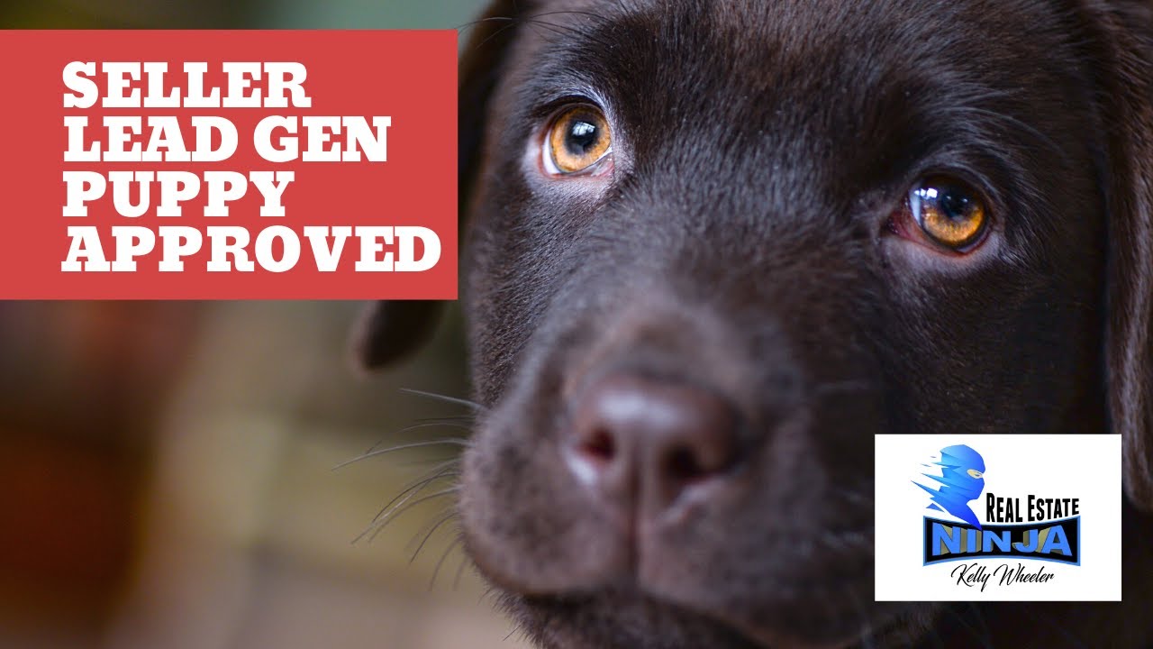 How To Use kvCore & FaceBook To Generate Seller Leads [UPDATED 2023]