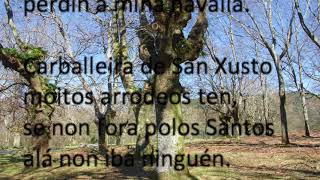 Carballeira de San Xusto