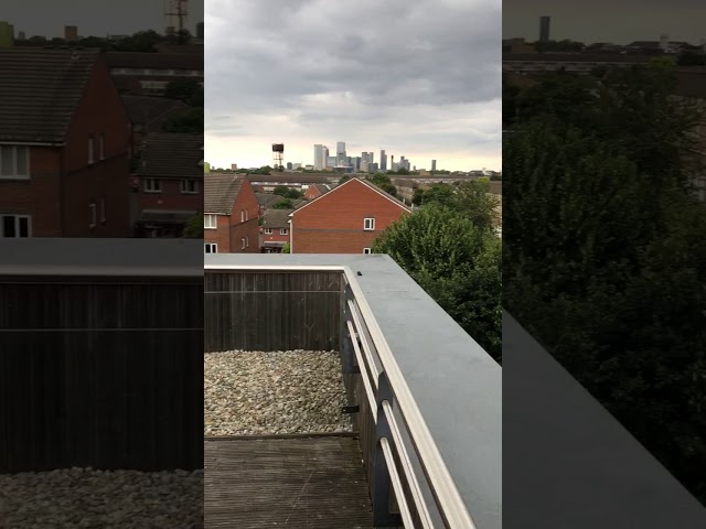 Video 1: view