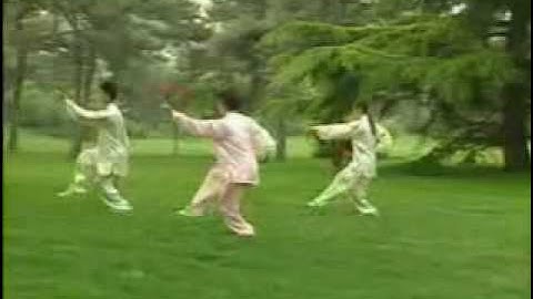 楊式太極扇36式 全集