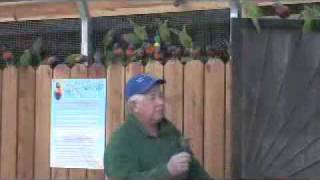 Welcome to the Rooster Cogburn Ostrich Ranch