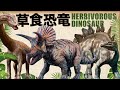 【草食恐竜★Herbivorous dinosaur】植物食恐竜図鑑!トリケラトプス,アルゼンチノサウルス,ステゴサウルスも登場!Triceratops Argentinosaurus