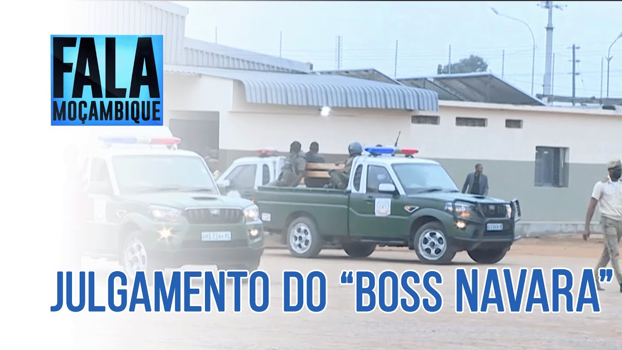 “Boss Navara” condenado a 27 anos de prisão por crimes contra a fauna @PortalFM24