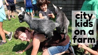 Lancaster Family Vacation Verdant View Farm Tour Bird In Hand Smorgasbord