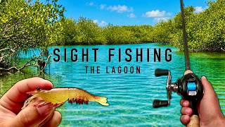 Mosquito Lagoon | Sight Fishing Heaven