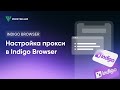 Пошаговая настройка прокси в Indigo Browser