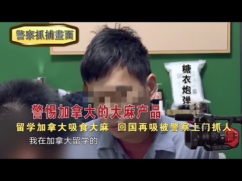 警惕加拿大的大麻产品“糖衣炮弹”。留学加拿大吸食大麻，回国再吸被警察上门抓人。