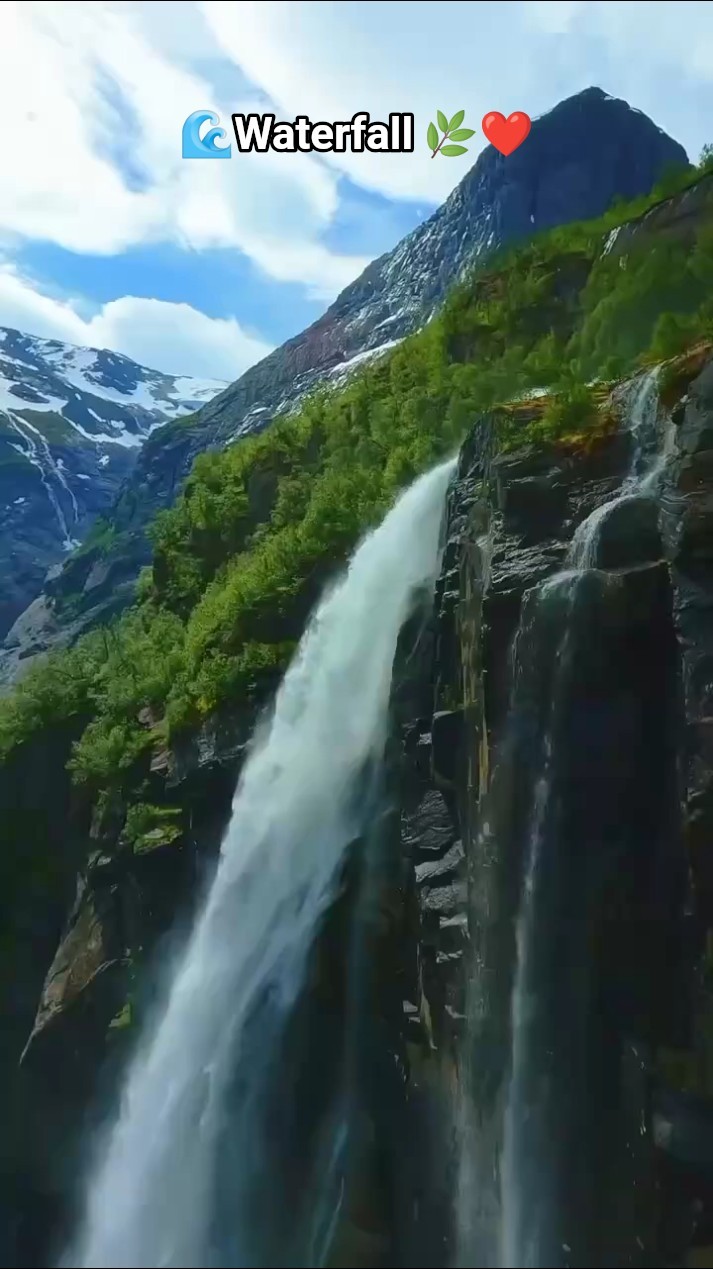 ❤️Love You ज़िंदगी ❤️ - ShareChat