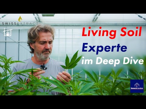 Living Soil Cannabis - Lernen vom Profi - biologisches Cannabis für🇨🇭Pilotprojekte von Swiss Extract