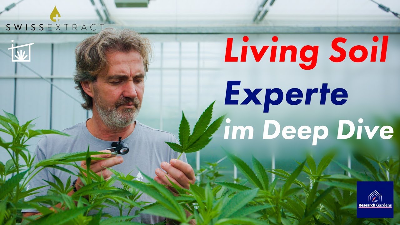 Kunst des Living Soil - biologisches Cannabis für🇨🇭Grashaus Projects von Swiss Extract