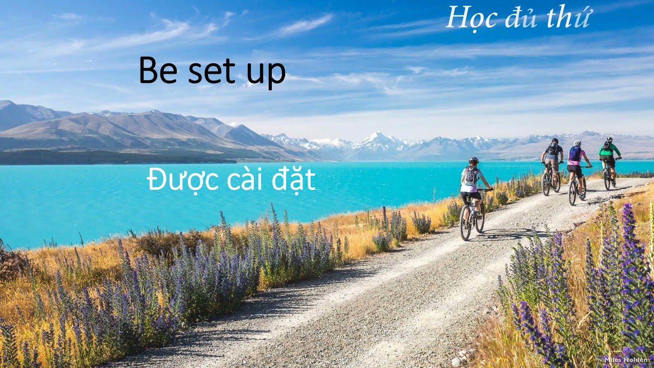 Case study: Tourism New Zealand Website