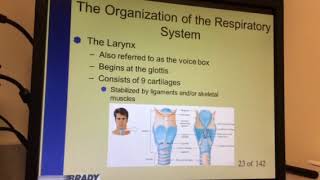 CWU Paramedic respiratory part 1