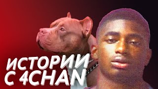 Живодёры и слежка за детьми | Истории с 4chan